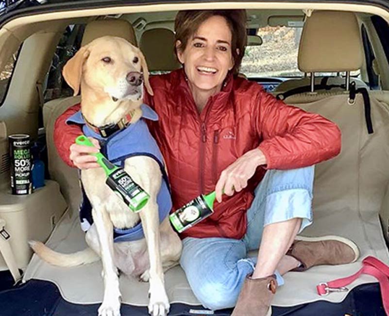 Car Cleaning Tips for Pets with Evercare